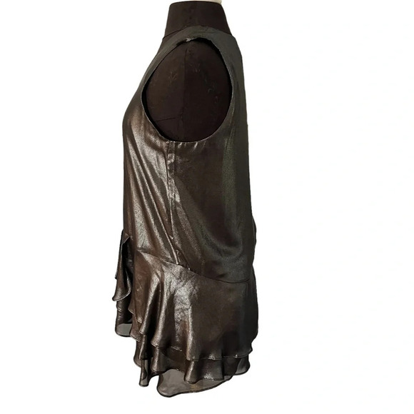 Banana Republic Metallic Silver Ruffle Hem Sleeveless Party Blouse Small - Picture 3 of 9